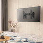 AISENS VW70LPOX-257 Soporte para Videowall Nivelable con Función Pop-Out, Negro